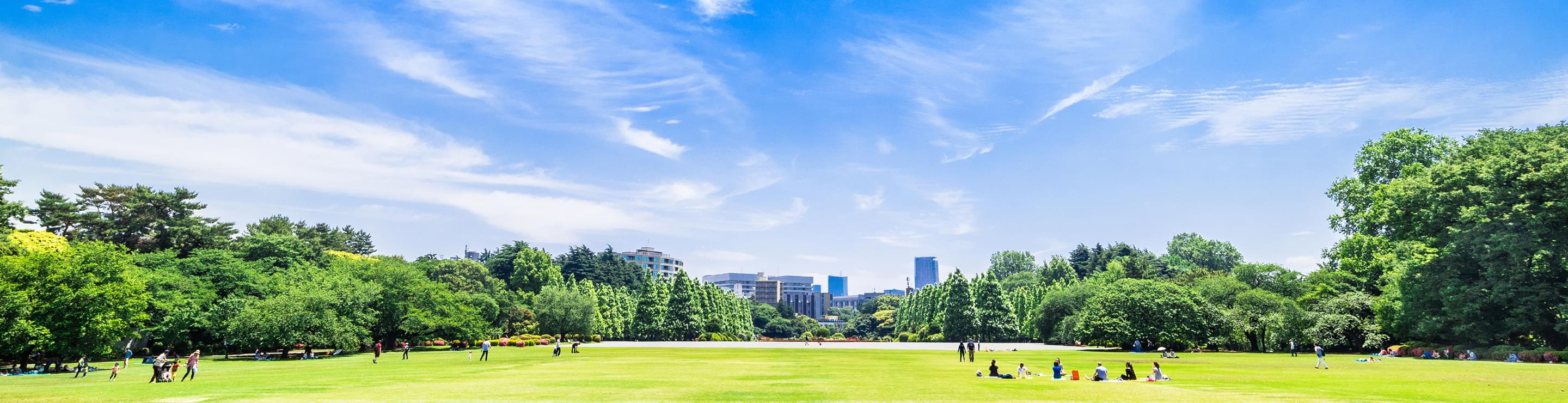 メイエンリッチについて